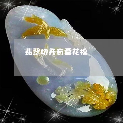 翡翠切开有雪花棉/2023092300929