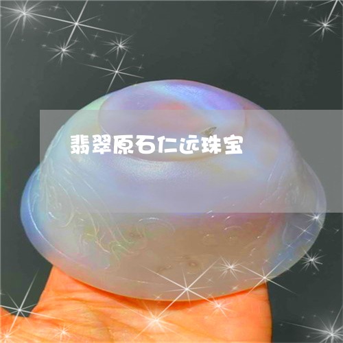 翡翠原石仁远珠宝/2023092365688