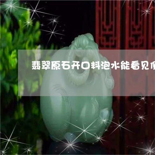 翡翠原石开口料泡水能看见侧裂深度么/2023080340513