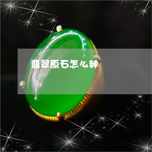 翡翠原石怎么种/2023051740158