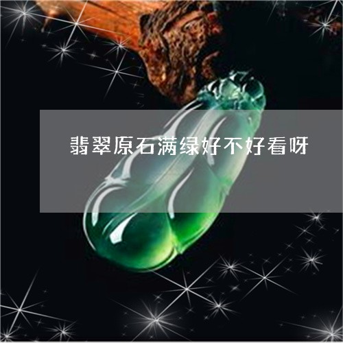 翡翠原石满绿好不好看呀/2023102601842