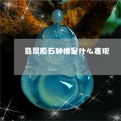 翡翠原石种嫩是什么表现/2023102618038