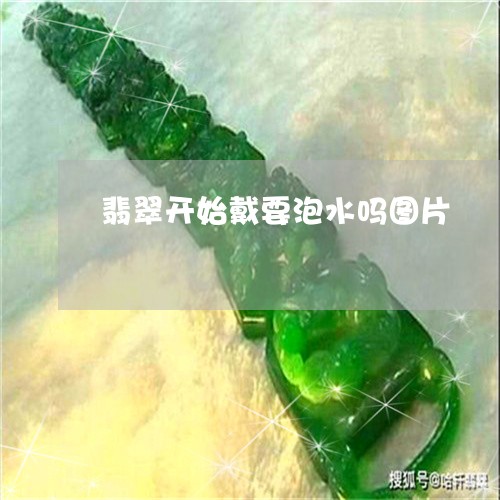 翡翠开始戴要泡水吗图片/2023100562013