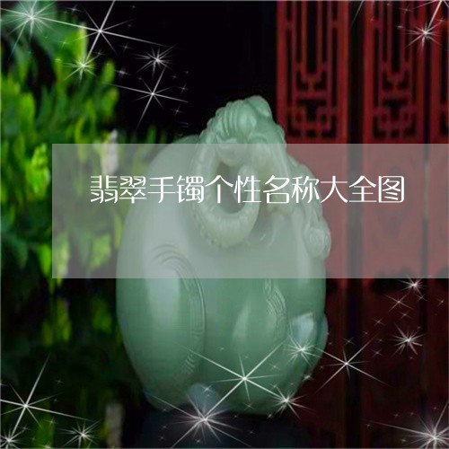 翡翠手镯个性名称大全图/2023082598713