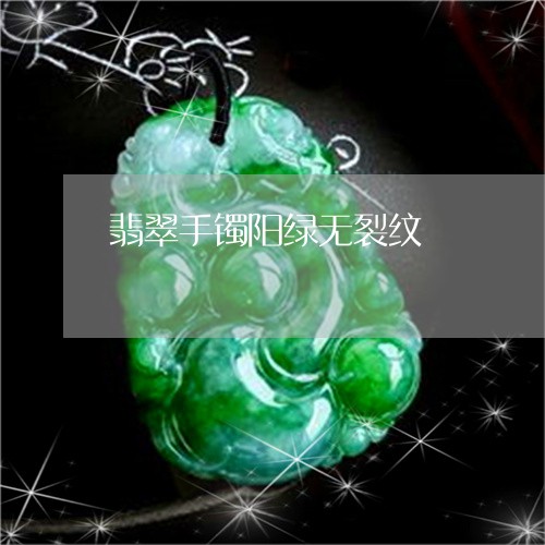 翡翠手镯阳绿无裂纹/2023110256826