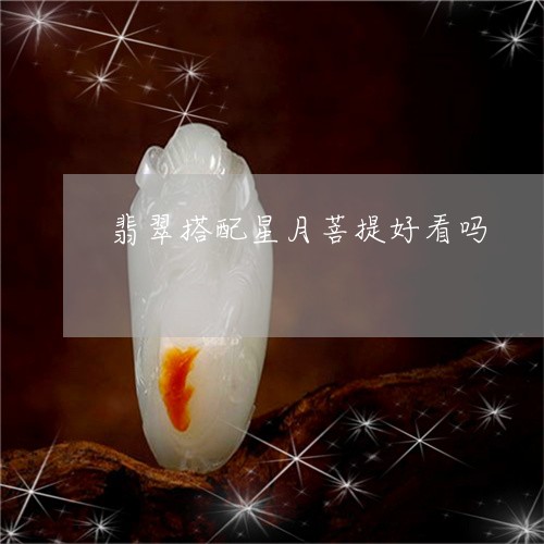 翡翠搭配星月菩提好看吗/2023100676670