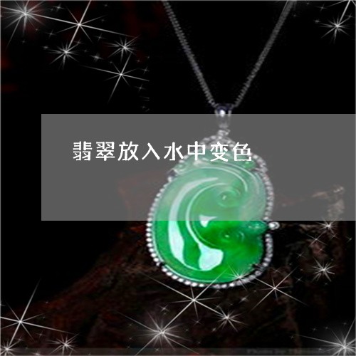 翡翠放入水中变色/2023110714425