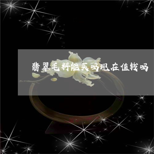 翡翠毛料能买吗现在值钱吗/2023101752080