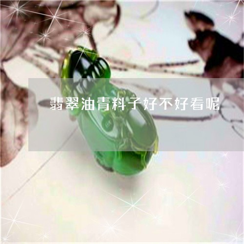 翡翠油青料子好不好看呢/2023100609576