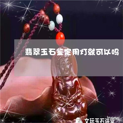 翡翠玉石鉴定用灯就可以吗/2023101669768