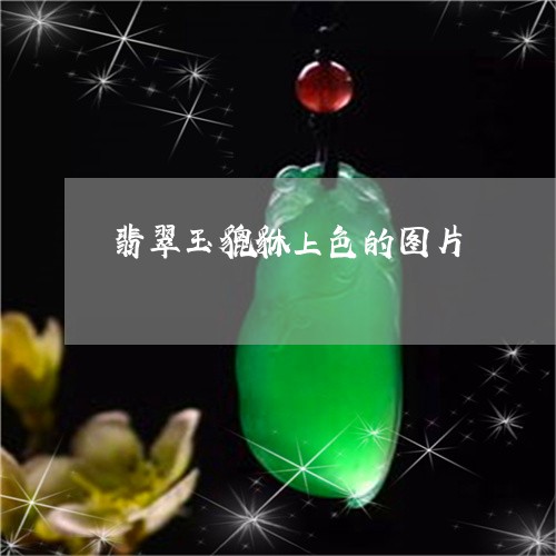 翡翠玉貔貅上色的图片/2023102417311