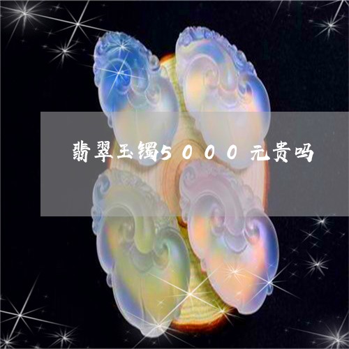 翡翠玉镯5000元贵吗/2023100699725