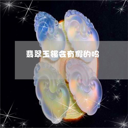 翡翠玉镯会有假的吗/2023102509862