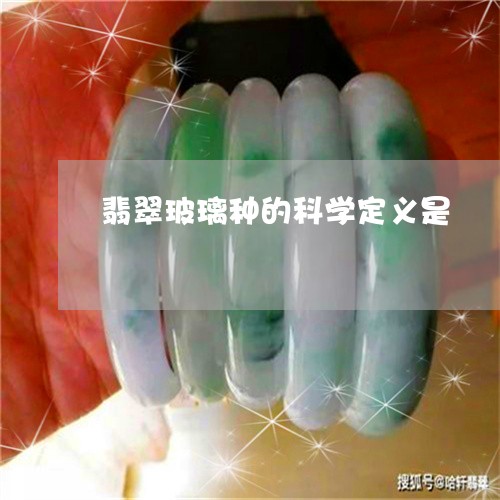 翡翠玻璃种的科学定义是/2023102616883