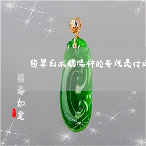 翡翠白冰玻璃种的等级是什么/2023101702473