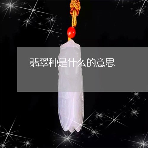 翡翠种是什么的意思/2023091503327