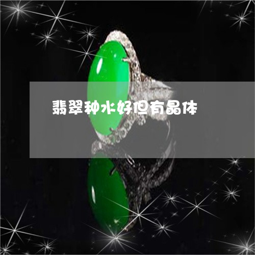 翡翠种水好但有晶体/2023091571558