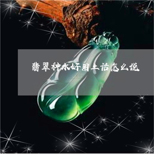 翡翠种水好用土话怎么说/2023102696515