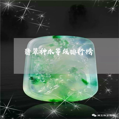 翡翠种水等级排行榜/2023091408067