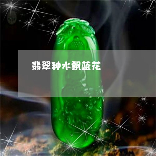 翡翠种水飘蓝花/2023110712955