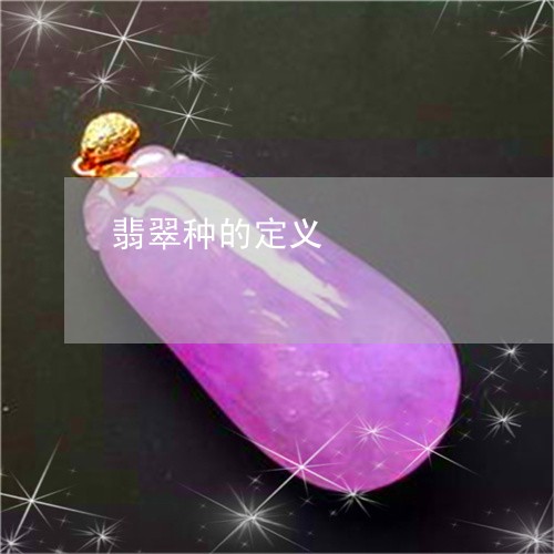 翡翠种的定义/2023081399210