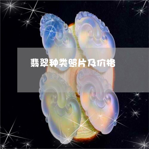 翡翠种类照片及价格/2023091404419