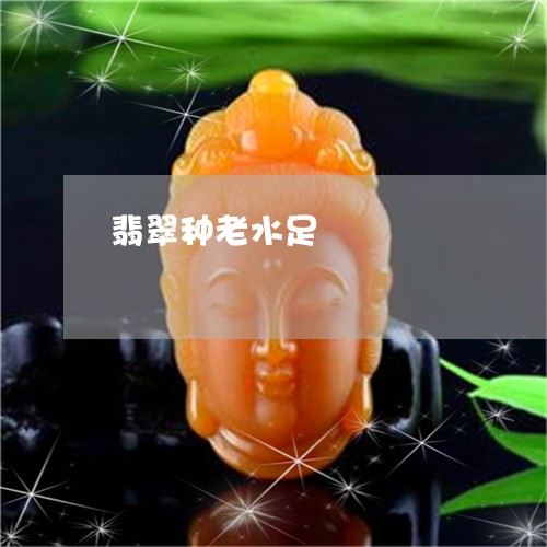 翡翠种老水足/2023081312896