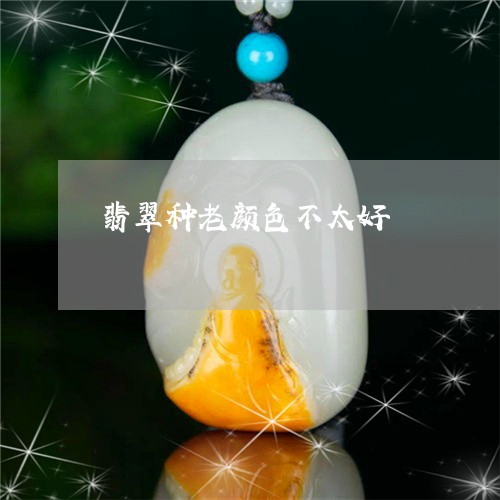 翡翠种老颜色不太好/2023091467786