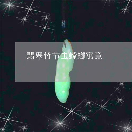 翡翠竹节虫螳螂寓意/2023091521511