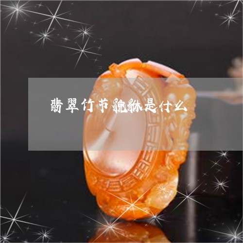 翡翠竹节貌貅是什么/2023091520769