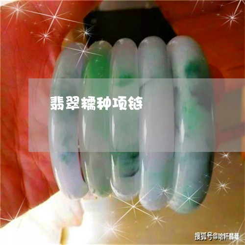 翡翠糯种项链/2023081395419