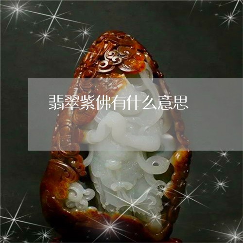 翡翠紫佛有什么意思/2023091488619