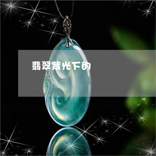 翡翠紫光下的/2023081397303