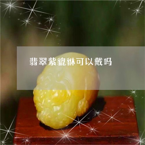 翡翠紫貔貅可以戴吗/2023091561346