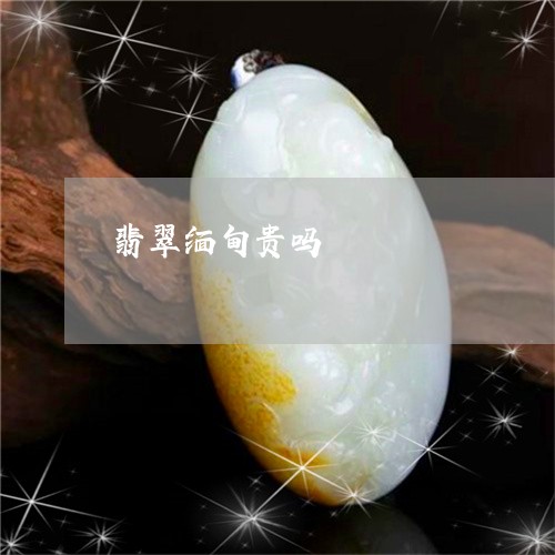 翡翠缅甸贵吗/2023081389478