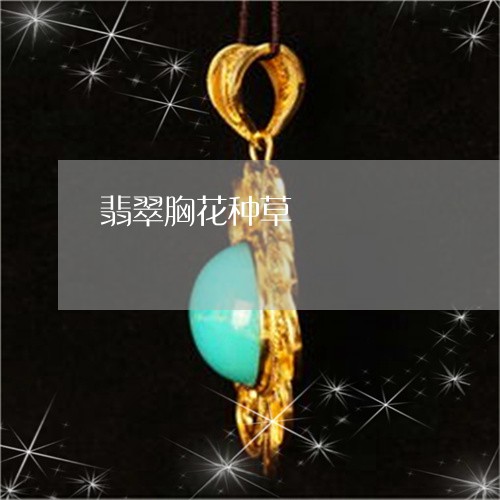 翡翠胸花种草/2023110690606