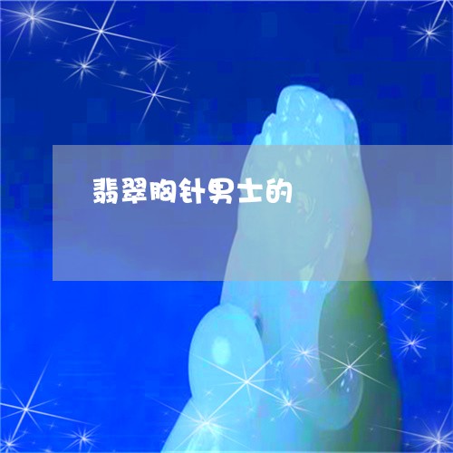 翡翠胸针男士的/2023110710561