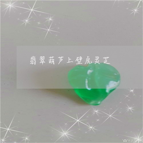 翡翠葫芦上壁虎灵芝/2023091578157