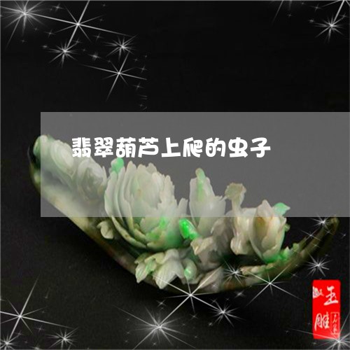 翡翠葫芦上爬的虫子/2023091541522