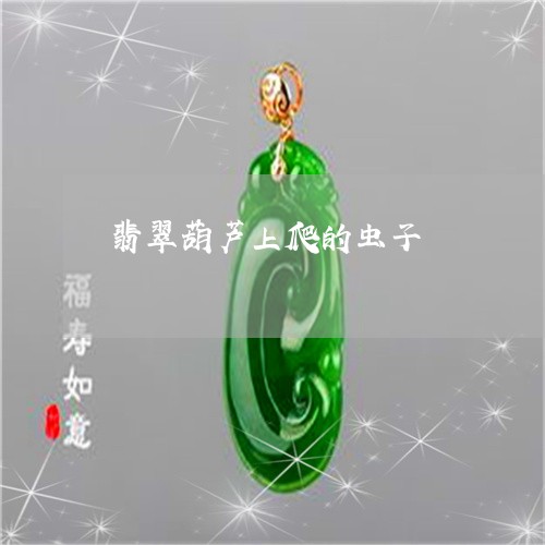 翡翠葫芦上爬的虫子/2023091594563