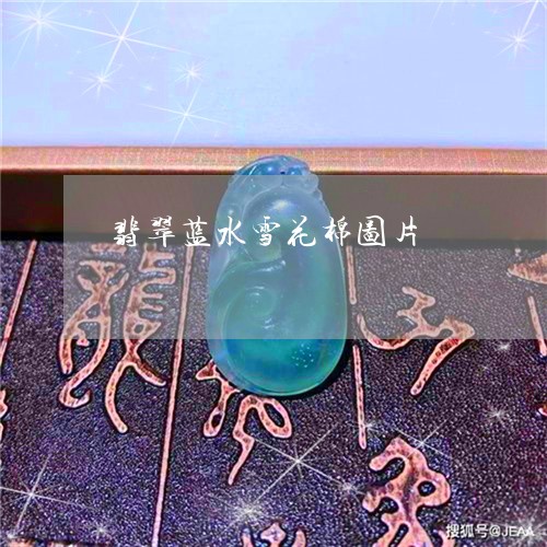 翡翠蓝水雪花棉图片/2023091510355