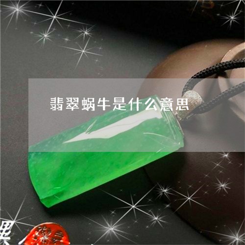 翡翠蜗牛是什么意思/2023091559961