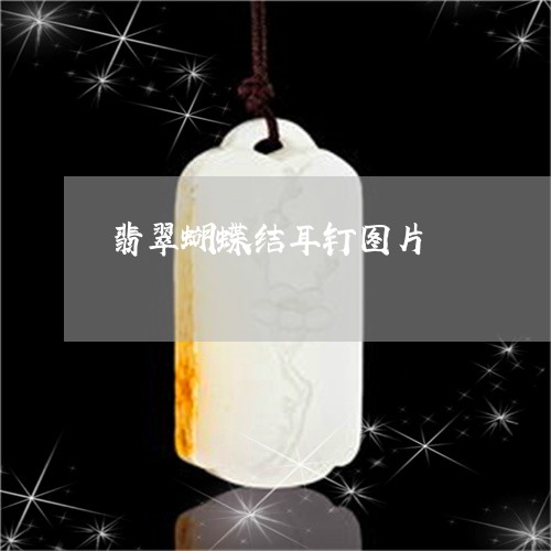 翡翠蝴蝶结耳钉图片/2023091599460