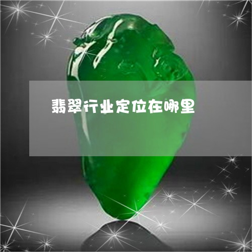 翡翠行业定位在哪里/2023091416646