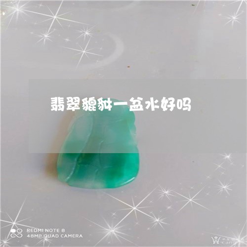 翡翠貔貅一盆水好吗/2023091439708