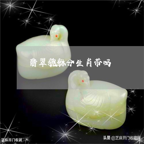 翡翠貔貅分生肖带吗/2023091450215