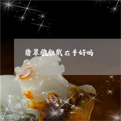 翡翠貔貅戴右手好吗/2023091413981