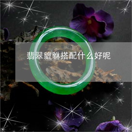 翡翠貔貅搭配什么好呢/2023102438797