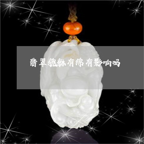 翡翠貔貅有绵有影响吗/2023081145720