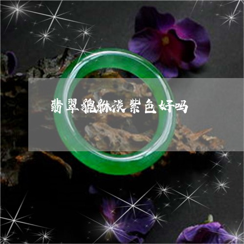 翡翠貔貅淡紫色好吗/2023091404702